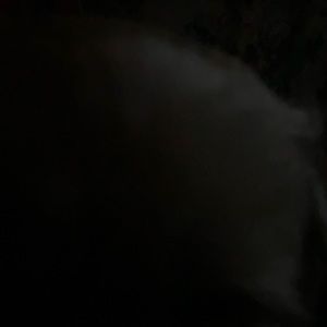 Meet your Posher, Olga